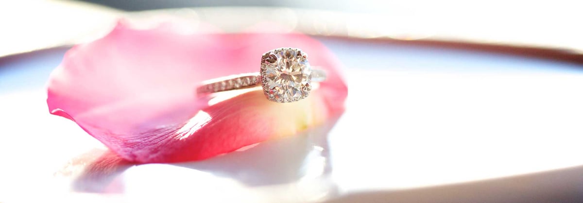 pink-rose-centered-v2.jpg